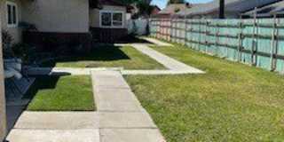 6635 Begonia Gallery 1