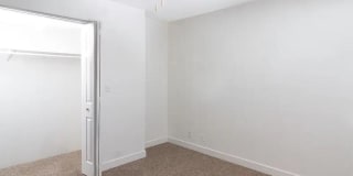 Peaks on Redwood Gallery 14