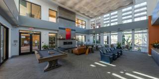 Liv Northgate Gallery 8