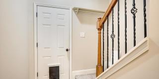 520 Equinox Loop Gallery 32