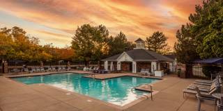 The Windsor Gallery 6