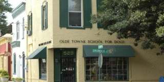 2050 Jamieson Ave Gallery 49