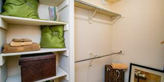 Park Trace Apartments Gallery 19