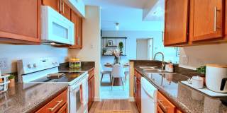 4307 Bayhead Court Gallery 9