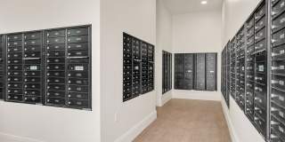 Harrison Landing Gallery 23