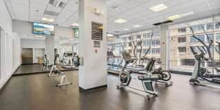 800 4th Street SW #S106 Gallery 22