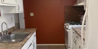 16 Spring Lane Gallery 19