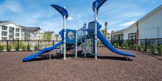 Alta Citron Gallery 33