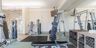 Domain at Kirby Gallery 49