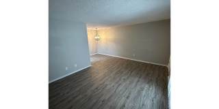 Bellevue Towers Gallery 64