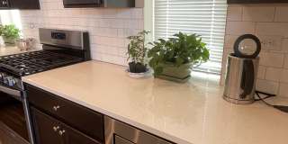 3002 Comet Street Gallery 2