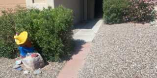Community Pool_Great Views_Harrison/Escalante_Garage Community Pool_Great Views_Harrison/Escalante_Garage Gallery 1