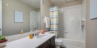 Monte Vista Gallery 5