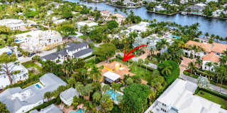 334 Palm Trail Gallery 34