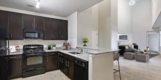 Crystal City Lofts Gallery 17