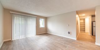 Village at Sota Gallery 15