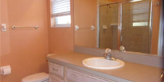 1933 W Shanelle Path Gallery 16