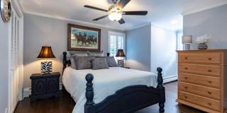 1 Patricia Lane Gallery 19