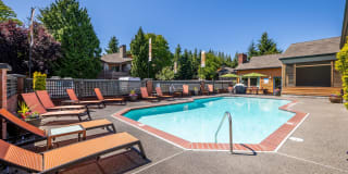 The Seasons Gallery 38