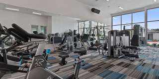 Reveal at Onion Creek Apartments Gallery 46