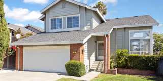 8 Caribe Isle Gallery 1