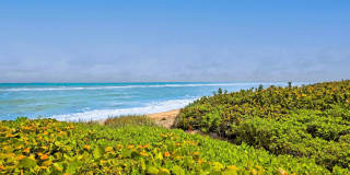 420 Celestial Way unit: 204 Gallery 4