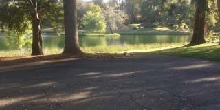 3 Bedroom 2 Bath Lakeside Home Gallery 1