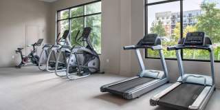 The Bishop Apartments Gallery 21