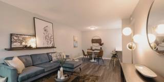 A/62 Apartments Gallery 11