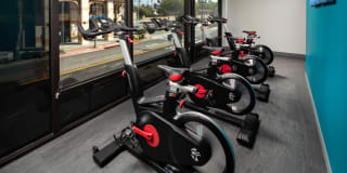 Pierside South Gallery 13