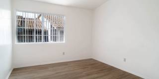 Windridge Gallery 20