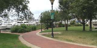 2012 MOUNT ROYAL Gallery 48