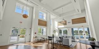 Mosaic at Lake Toho Gallery 3