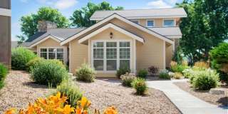 Canyon Ranch Gallery 8