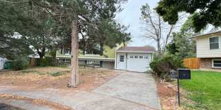 4 Bed 2 Bath Available for Rent Gallery 34