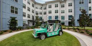 Arcadia 331 Gallery 7