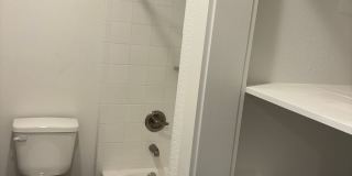 Pine Hills Gallery 8