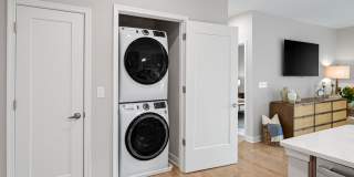 The Canopy Gallery 10