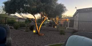 13075 W DESERT VISTA Trail Gallery 30