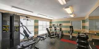 Mallside Forest Gallery 14