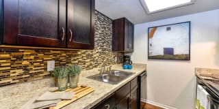 The Lory of Savannah Gallery 15