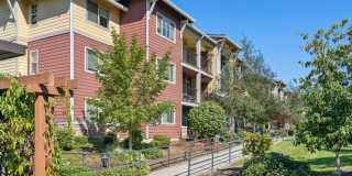 Vue Issaquah Gallery 56