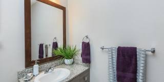 RIZE at Winter Springs Gallery 56