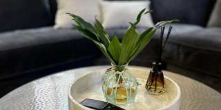 5 Spring Gallery 5