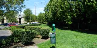 Springwater Trail Gallery 23