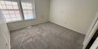 Live in the Timbers Gallery 11