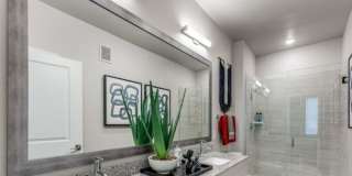 3339 Caseybridge Ct, #1102 Gallery 3