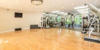 The Orsini Gallery 55