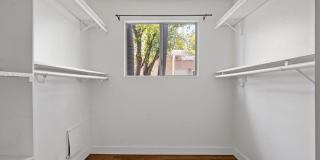 721 Palms Gallery 31