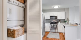 Halstead Burlington Gallery 26